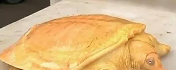 博特水泵衰減博特魚缸第三代怎么樣，博特水泵質量好嗎，博特水泵控制器一閃一閃怎么處理？ 博特水泵衰減博特魚缸第三代怎么樣，博特水泵質量好嗎，博特水泵控制器一閃一閃怎么處理？ 博特水族 第1張