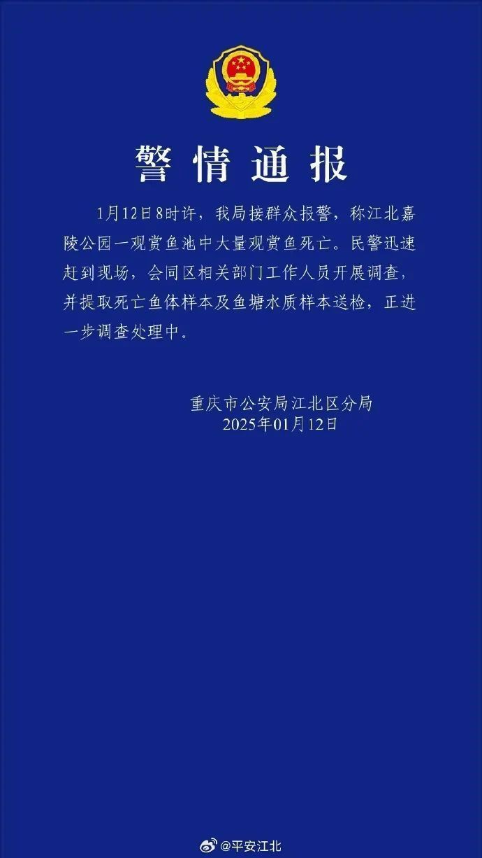 魚死了需要通知相關部門嗎？，→光明網鎮(zhèn)政府回應河道漂浮大量死魚最新回應