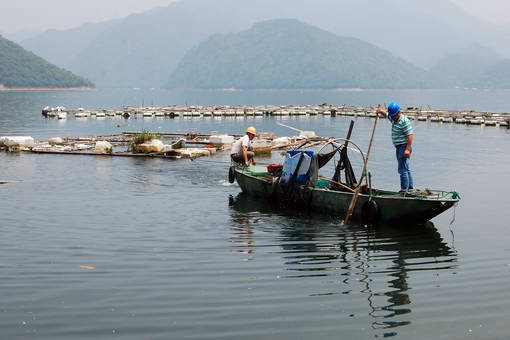 2米魚缸博特12000水泵調到115怎么樣水泵調到115怎么樣