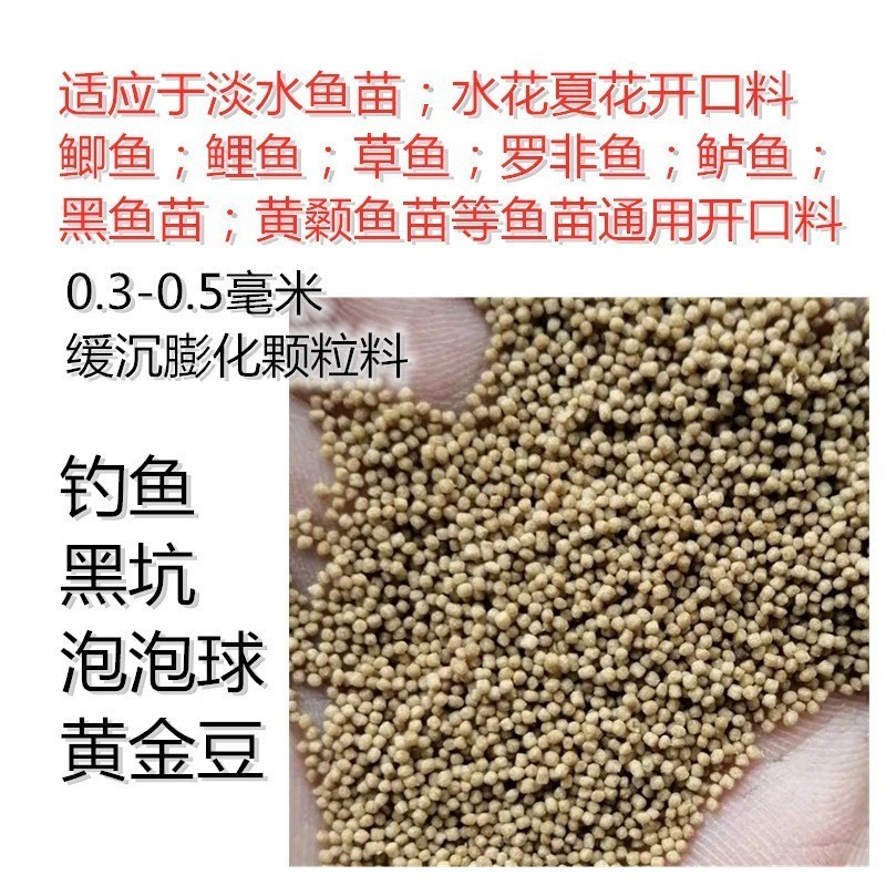 大型原生魚缸造景設計