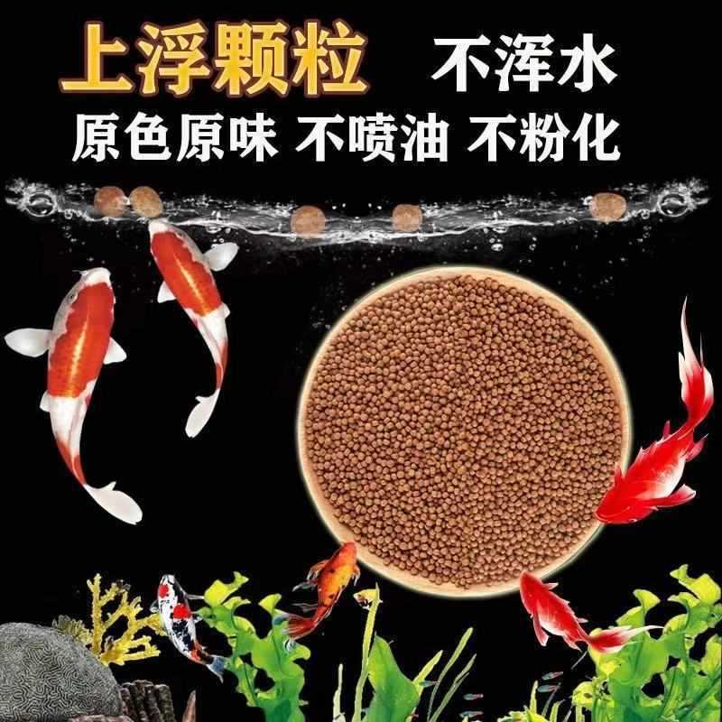 豬鼻龜和鱉有什么區別圖片大全(豬鼻龜是鱉類還是龜類)