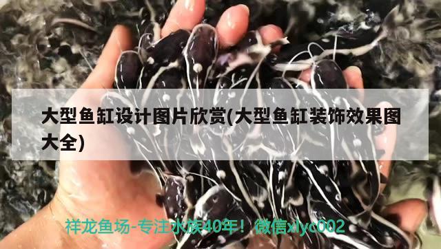 大型魚缸設計圖片欣賞(大型魚缸裝飾效果圖大全)