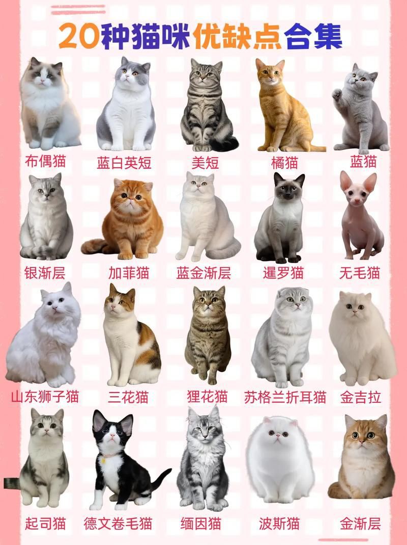 貓品種大全100種圖片，《貓品種大全100種圖片》 貓品種大全100種圖片，《貓品種大全100種圖片》 龍魚百科 第4張