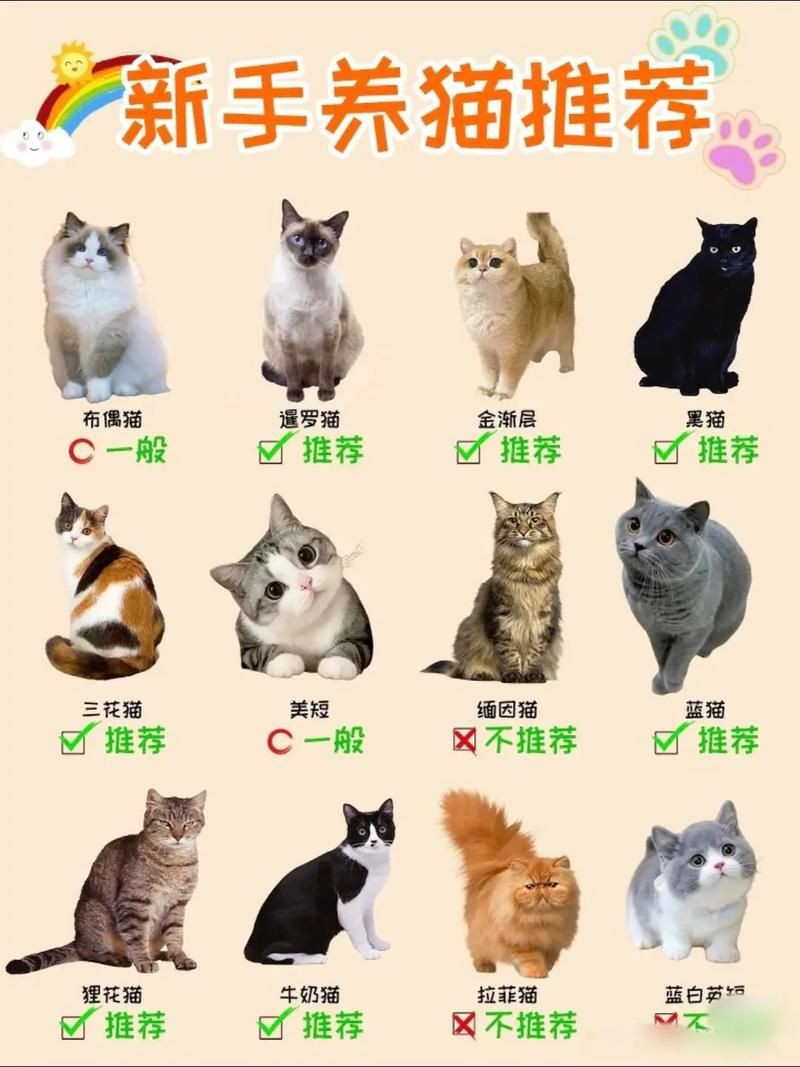 貓品種大全100種圖片，《貓品種大全100種圖片》 貓品種大全100種圖片，《貓品種大全100種圖片》 龍魚百科 第23張