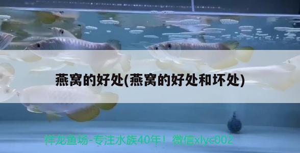 森森魚缸燈led燈（森森魚缸燈光設置）