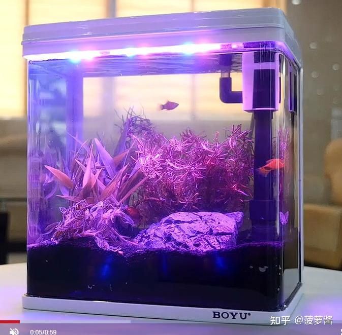 國外的水族箱品牌，國外水族箱品牌在全球市場占據重要地位