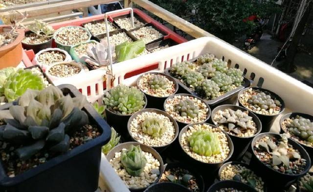 南京魚缸專賣店地址查詢大全及電話(南京魚缸專賣店地址查詢大全及電話號碼)