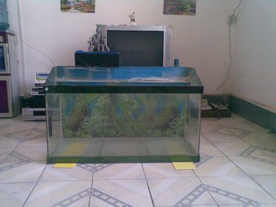 玻璃制作魚缸過濾器的方法：玻璃制作魚缸過濾器的兩種方法