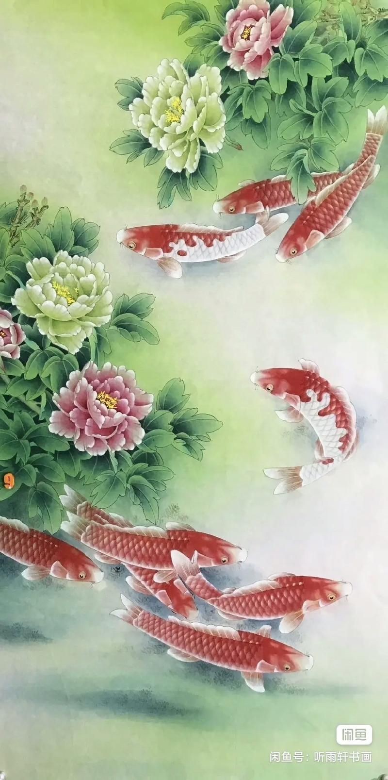 牡丹魚圖片大全大圖,牡丹魚是一種極具觀賞價(jià)值的魚類 龍魚百科 第18張 牡丹魚圖片大全大圖,牡丹魚是一種極具觀賞價(jià)值的魚類 牡丹魚圖片大全大圖,牡丹魚是一種極具觀賞價(jià)值的魚類 龍魚百科 第18張