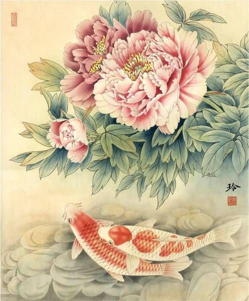 牡丹魚圖片大全大圖,牡丹魚是一種極具觀賞價(jià)值的魚類 龍魚百科 第16張 牡丹魚圖片大全大圖,牡丹魚是一種極具觀賞價(jià)值的魚類 牡丹魚圖片大全大圖,牡丹魚是一種極具觀賞價(jià)值的魚類 龍魚百科 第16張