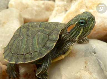 森森魚缸下水口不出水 森森魚缸下水口不出水 森森魚缸