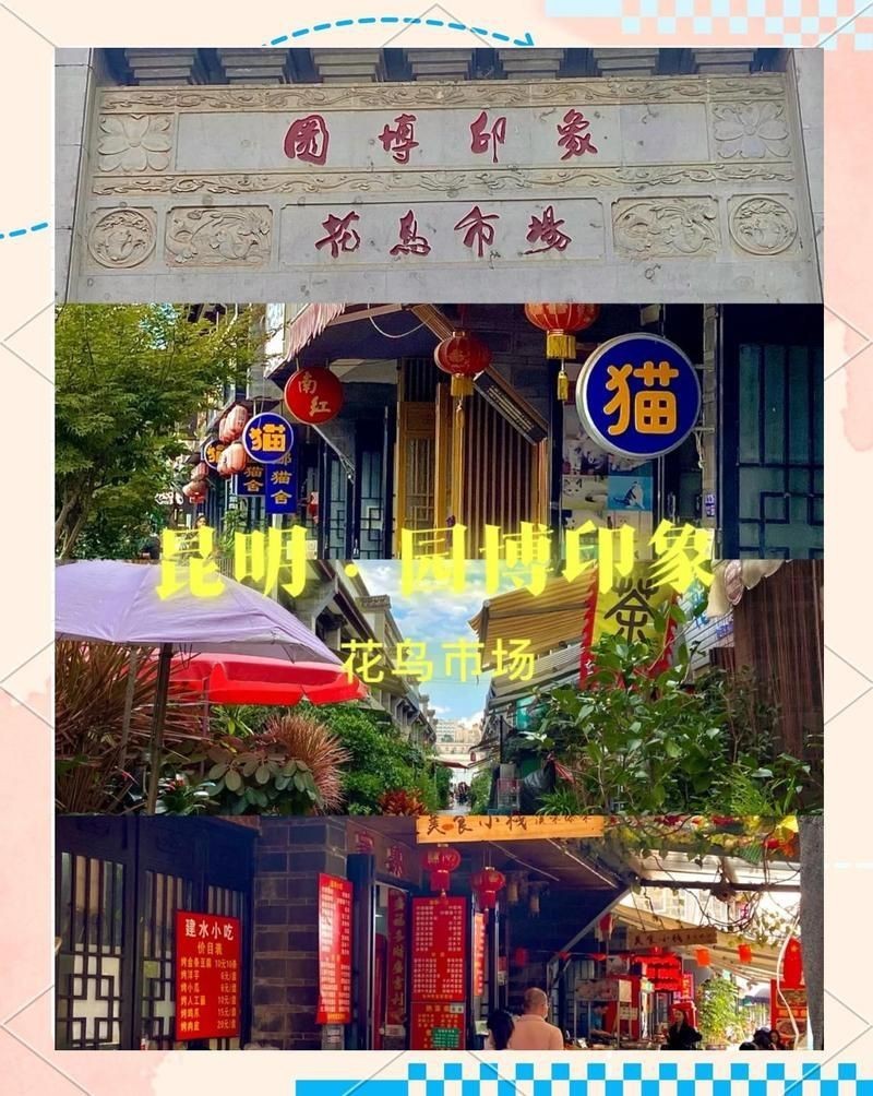 山南魚缸批發市場，東莞山南魚缸批發市場