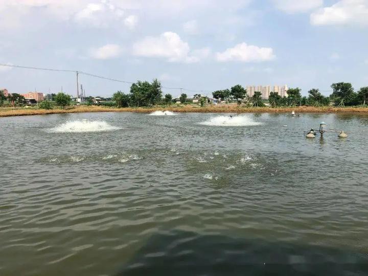 全國水產藥廠前50名，全國水產藥廠前50名是什么？