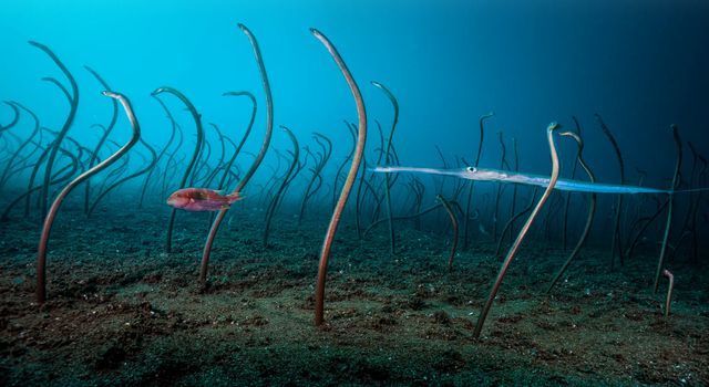 博特水泵控制器說明書圖解視頻(博特水泵調節視頻)