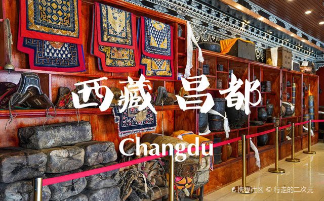 左貢龍魚店，左貢龍魚店的價格范圍是多少