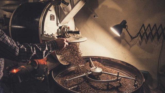 豬鼻龜是哪個國家的品種啊視頻講解的簡單介紹 豬鼻龜是哪個國家的品種啊視頻講解的簡單介紹 豬鼻龜百科 第1張