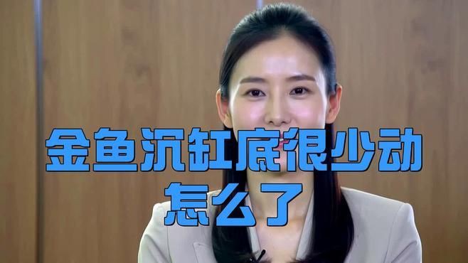 如何判斷金魚趴缸底的原因？，金魚在魚缸底部不動是怎么回事