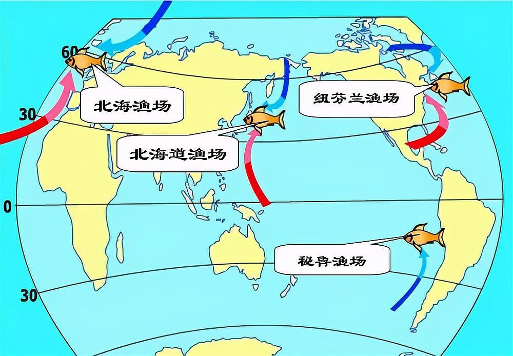 世界四大漁場及其成因，世界四大漁場形成的原因