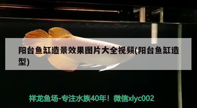 博特拉大學申請截止時間，博特拉大學申請條件