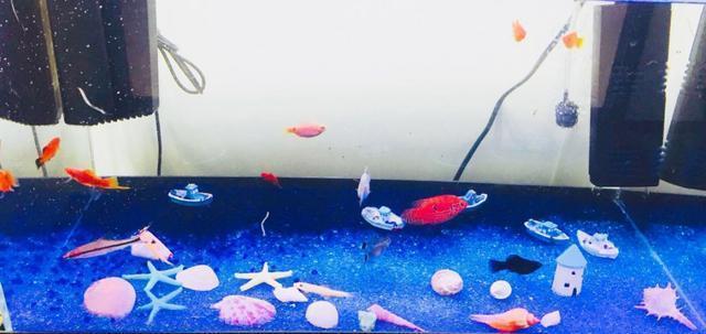 森森魚缸總部