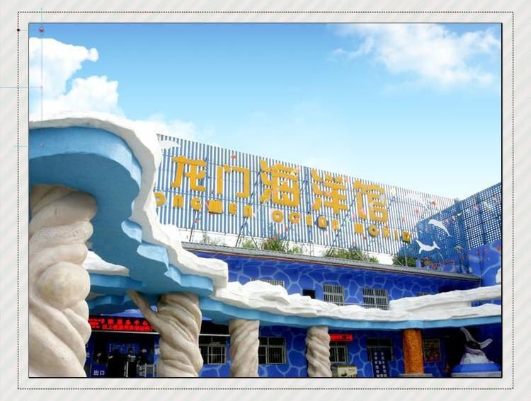 洛陽一二水族分布，探秘洛陽龍門海洋館 洛陽一二水族分布，探秘洛陽龍門海洋館 龍魚百科 第2張