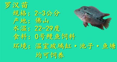 博特魚(yú)缸過(guò)濾器怎么安裝