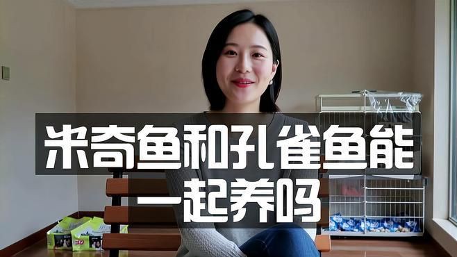 米奇魚能和孔雀魚混養嗎，米奇魚與孔雀魚能混養嗎