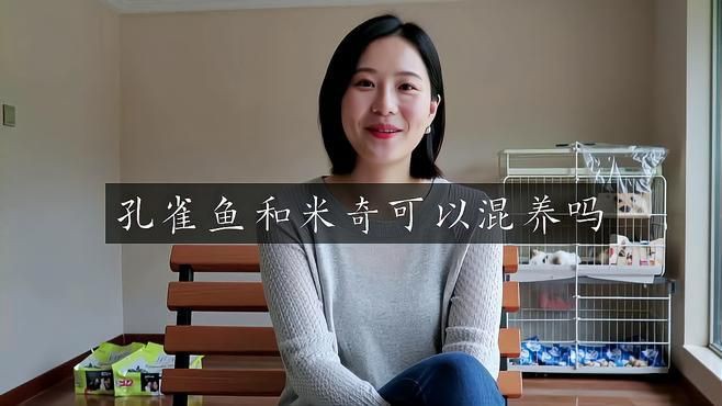 米奇魚能和孔雀魚混養(yǎng)嗎，米奇魚與孔雀魚能混養(yǎng)嗎