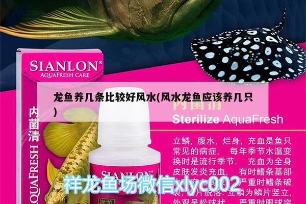 福魟魟魚飼料品牌推薦，熱帶魚飼料十大品牌排行榜
