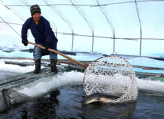 寵物用品魚缸水族箱怎么用:魚缸水族箱的使用 魚缸百科 第1張 寵物用品魚缸水族箱怎么用:魚缸水族箱的使用 寵物用品魚缸水族箱怎么用:魚缸水族箱的使用 魚缸百科 第1張