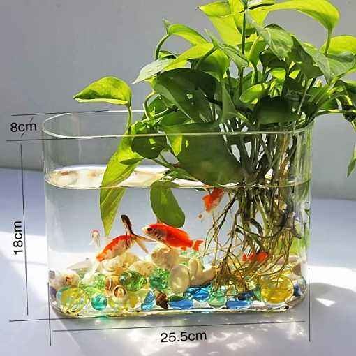 森森魚缸hlx（森森魚缸hlx1200e安裝視頻）
