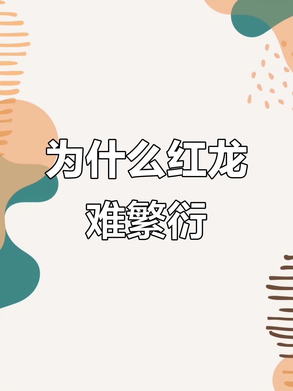 不同品種的龍魚繁殖周期有何差異？，不同品種的龍魚繁殖周期差異 不同品種的龍魚繁殖周期有何差異？，不同品種的龍魚繁殖周期差異 龍魚論壇 第1張