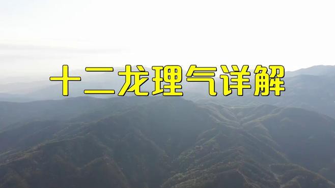 十二龍格中哪一種最吉利？，十二種龍脈吉兇解析，哪種最適合你炸毛小橘子 十二龍格中哪一種最吉利？，十二種龍脈吉兇解析，哪種最適合你炸毛小橘子 龍魚論壇 第3張