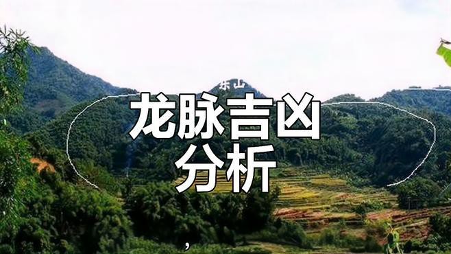 十二龍格中哪一種最吉利？，十二種龍脈吉兇解析，哪種最適合你炸毛小橘子 十二龍格中哪一種最吉利？，十二種龍脈吉兇解析，哪種最適合你炸毛小橘子 龍魚論壇 第1張