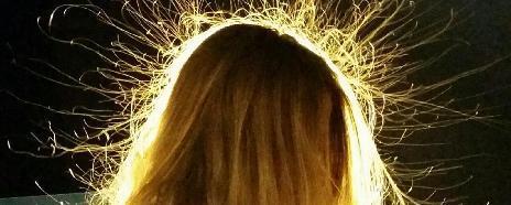 金龍魚怕人是怎么回事