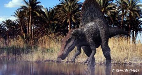 魚缸養魚是否必須要打氧泵? 魟魚百科 第2張 魚缸養魚是否必須要打氧泵? 魚缸養魚是否必須要打氧泵? 魟魚百科 第2張