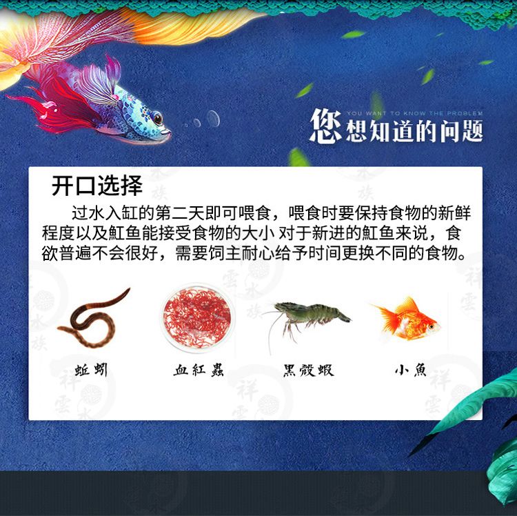 如何預(yù)防黑金魟魚常見疾病，如何預(yù)防黑金魟魚疾病早期信號(hào)識(shí)別黑金魟魚疾病早期信號(hào) 如何預(yù)防黑金魟魚常見疾病，如何預(yù)防黑金魟魚疾病早期信號(hào)識(shí)別黑金魟魚疾病早期信號(hào) 魟魚百科 第4張