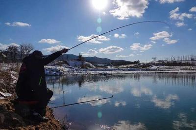 金龍魚吃小魚么