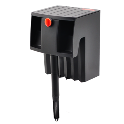 養金龍好還是銀龍魚好(養金龍魚還是銀龍魚好)