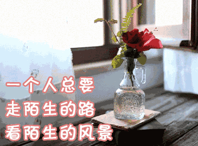 紅龍魚養(yǎng)殖方法和技巧