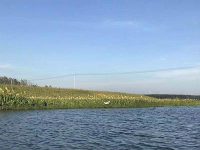 pvc管魚缸的制作過程：pvc管魚缸制作方法