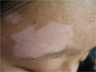 金龍魚吃什么上色快