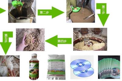 這樣的魚池 這樣的魚池 魟魚百科 第1張