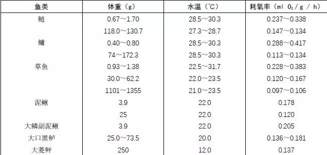 銀龍魚和藍鯊能混養嗎(藍鯊魚可以和銀龍一起養嗎)