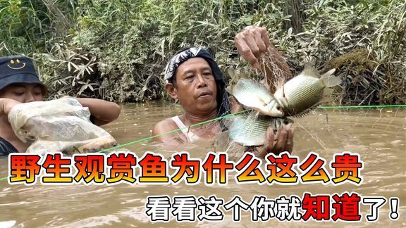 魚缸可以對著入戶門擺放嗎 魚缸可以對著入戶門擺放嗎一 魟魚百科 第2張 魚缸可以對著入戶門擺放嗎 魚缸可以對著入戶門擺放嗎一 魚缸可以對著入戶門擺放嗎 魚缸可以對著入戶門擺放嗎一 魟魚百科 第2張