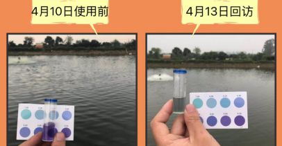 藍龍魚和紅龍魚：紅龍魚和紅龍魚的飼養方法需要考慮多個方面的關鍵點 藍龍魚和紅龍魚：紅龍魚和紅龍魚的飼養方法需要考慮多個方面的關鍵點 紅龍魚百科 第1張