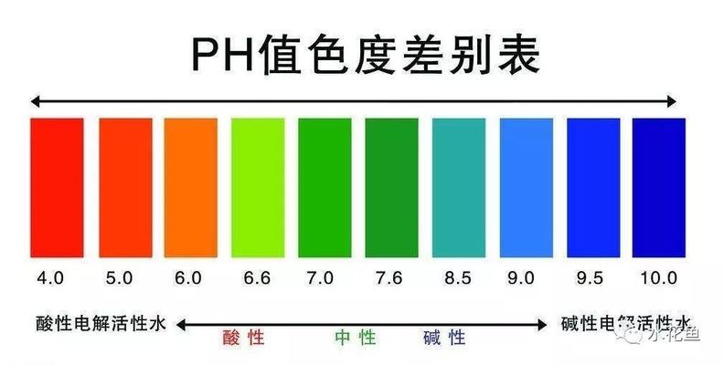 水培紅薯