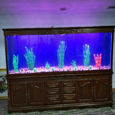 金龍魚和虎魚混養要注意些什么呢(金龍魚和虎魚混養要注意些什么呢視頻) 金龍魚和虎魚混養要注意些什么呢(金龍魚和虎魚混養要注意些什么呢視頻) 虎魚百科 第1張