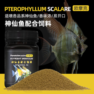 豬鼻龜最低水溫多少度會(huì)死(豬鼻龜最低能忍受多少溫度)