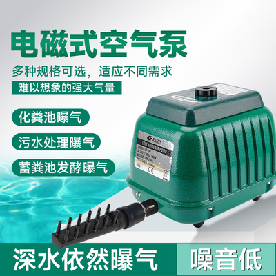 神仙魚魚缸高度要求多少合適呢(魚缸高度多少最好)